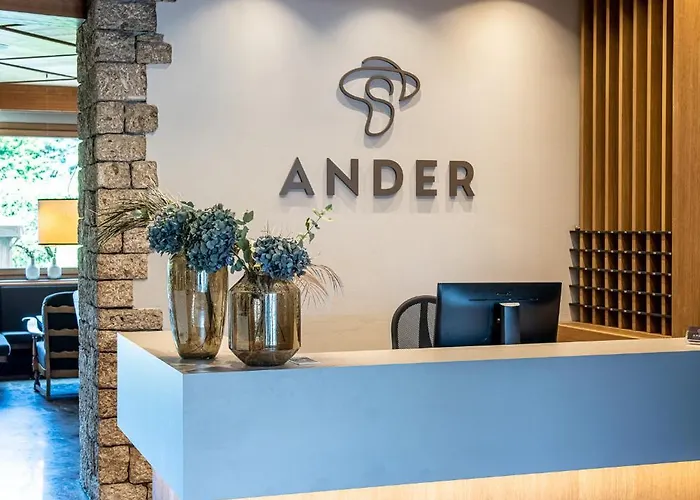 Hotel Ander